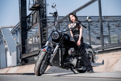 800cc Liquid-Cooled Engine/Street Bike/Coolest Motorcycle/American Gangster Motorcycle/Cruise Motorcycle