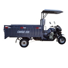 200cc Petrol Engine Tricycle 3 Wheel Cargo Motorcycle