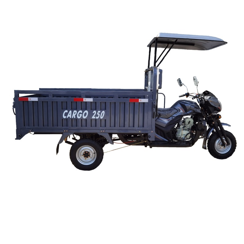 200cc Petrol Engine Tricycle 3 Wheel Cargo Motorcycle