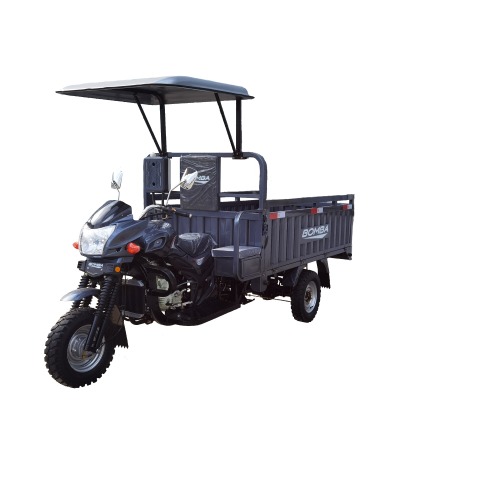 200cc Petrol Engine Tricycle 3 Wheel Cargo Motorcycle