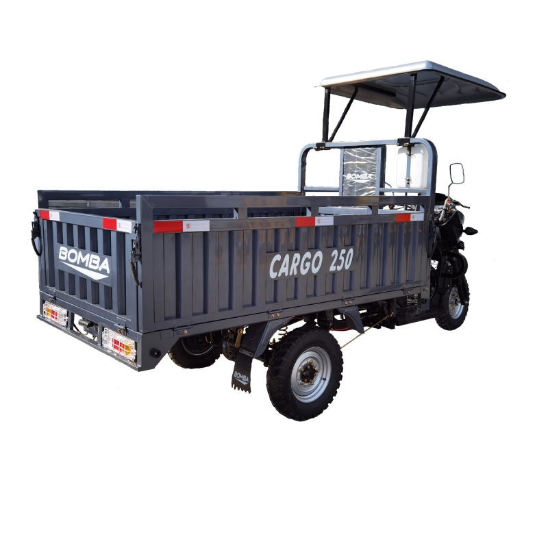 200cc Petrol Engine Tricycle Wheel Cargo Motorcycle