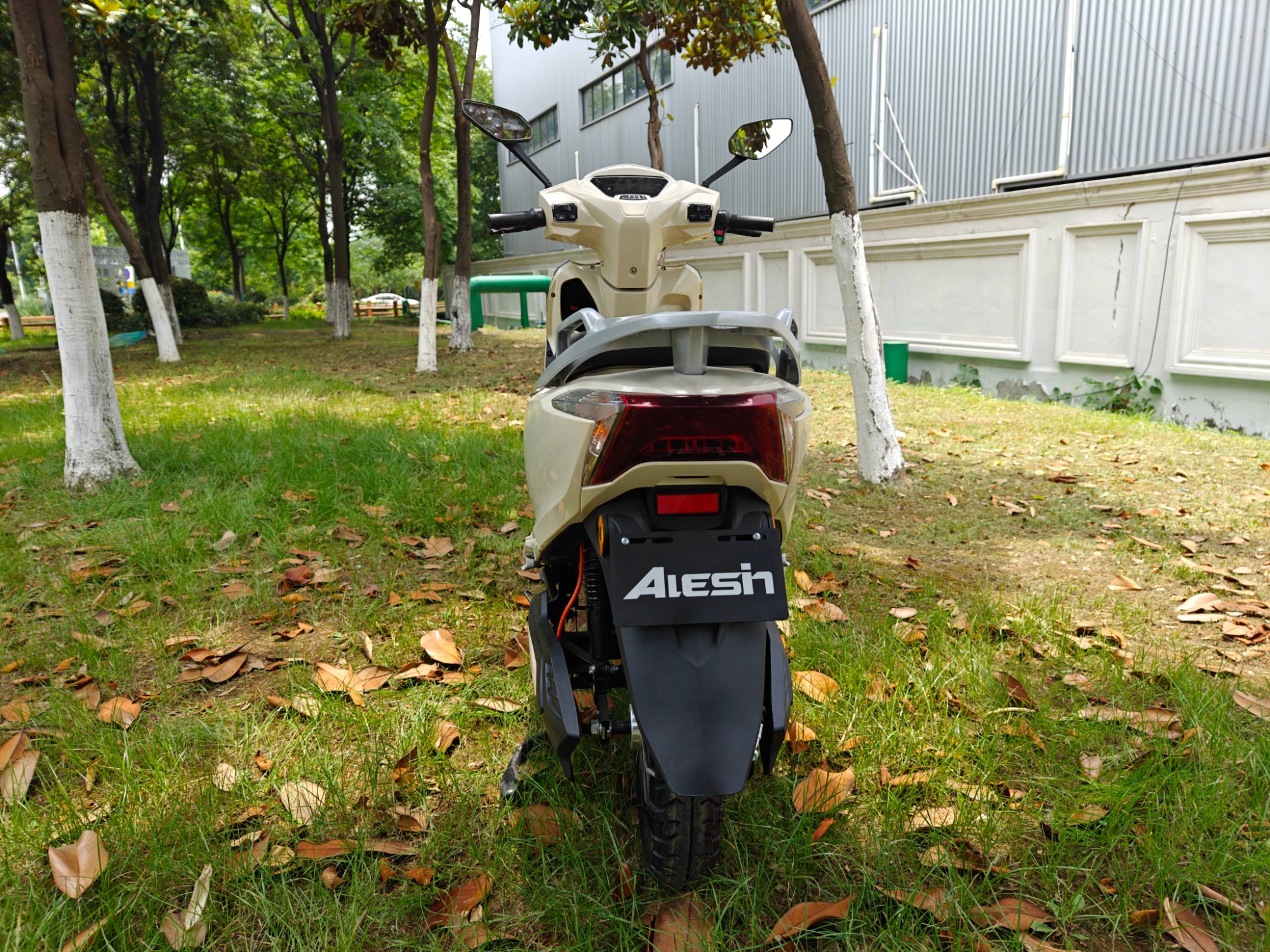 72V1200W Adult Electric City Bike Two Wheel Electric Scooter