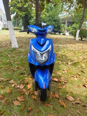 2024 New Fashion Two-Wheel Electric Scooter, Affordable and High Quality