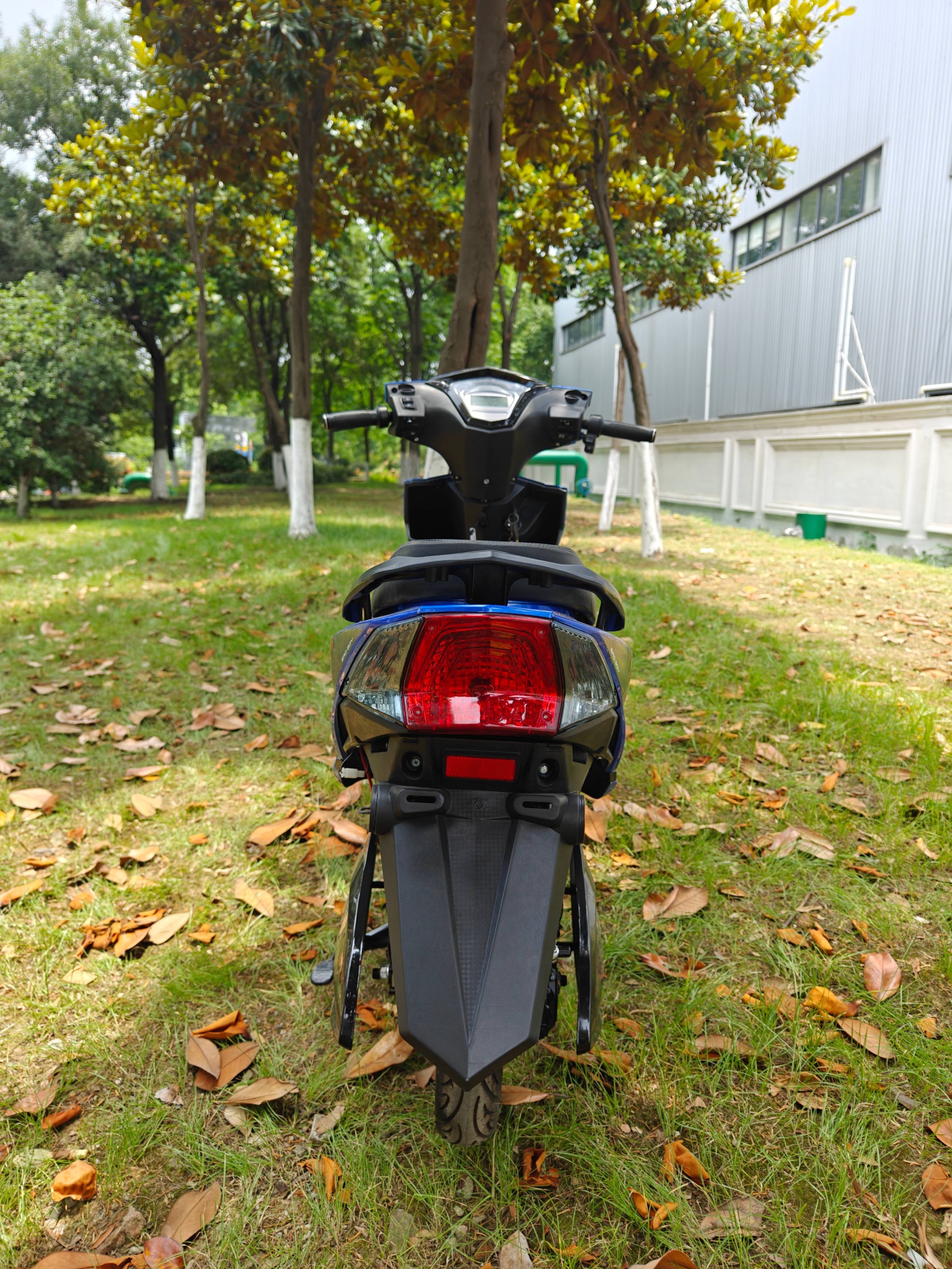 2024 New Fashion Two-Wheel Electric Scooter, Affordable and High Quality