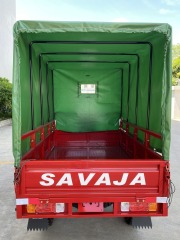 200cc High Quality Hot Selling Adult Large Capacity Three Wheel Passenger Vehicle