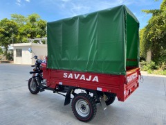 200cc High Quality Hot Selling Adult Large Capacity Three Wheel Passenger Vehicle