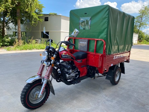 200cc High Quality Hot Selling Adult Large Capacity Three Wheel Passenger Vehicle