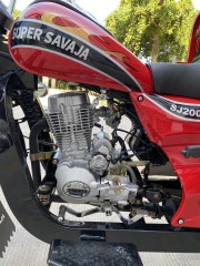 200cc High Quality Hot Selling Adult Large Capacity Three Wheel Passenger Vehicle