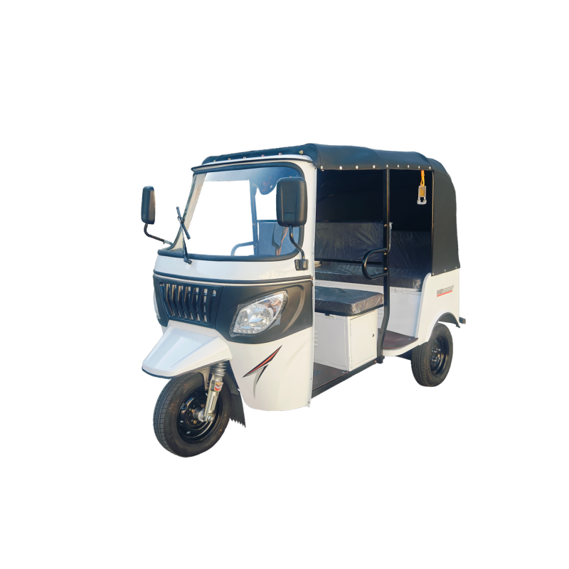 Hot Sale New Three Wheel Electric Passenger Car, Three Wheel Tuk Tuk