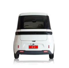 2025 New Mini Electric Car with EEC/Best-Selling Electric Car with 72V4000W Motor