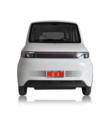 2025 New Mini Electric Car with EEC/Best-Selling Electric Car with 72V4000W Motor