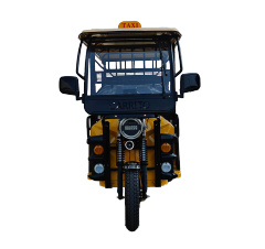 2025 New Electric Three Wheel Passenger Tuk Tuk/Family Scooter/Electric Tricycle