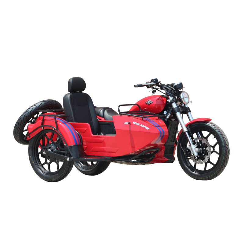 2025 High Quality Sidecar Electric Bike for Sale Adult Three Wheel Motorcycle