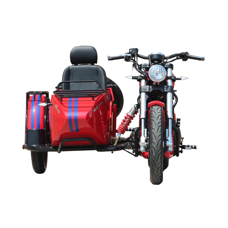 2025 High Quality Sidecar Electric Bike for Sale Adult Three Wheel Motorcycle