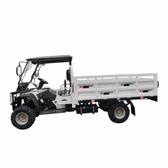 300cc Gasoline Water-Cooled Engine ATV Agricultural Utility Vehicle
