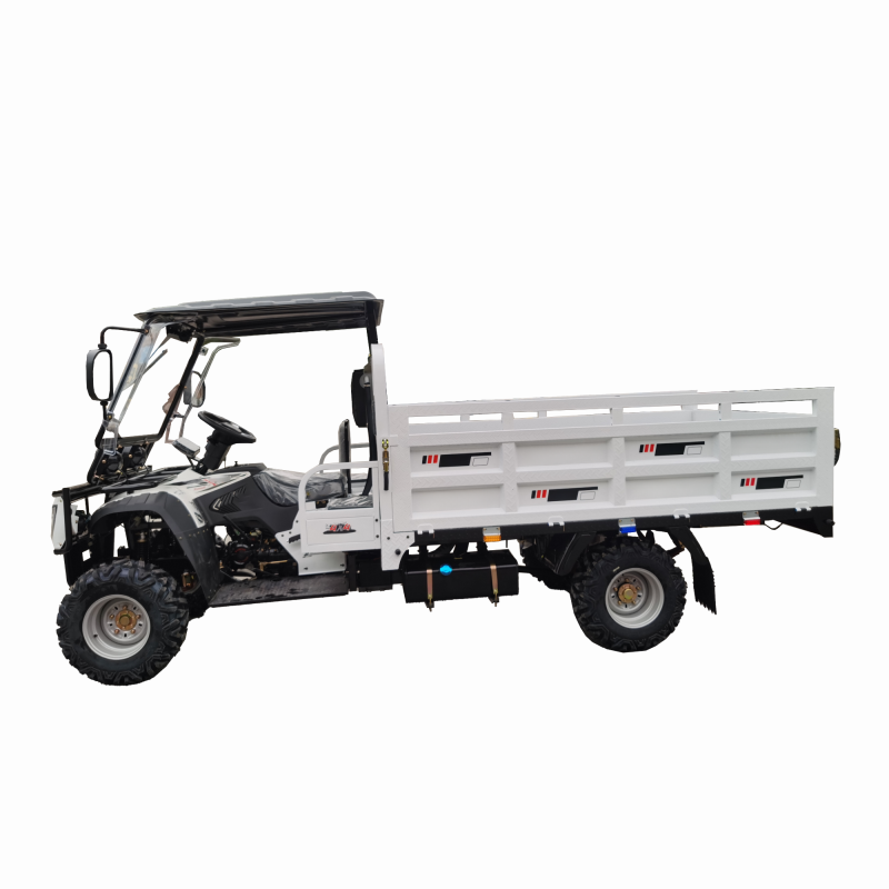 300cc Gasoline Water-Cooled Engine ATV Agricultural Utility Vehicle