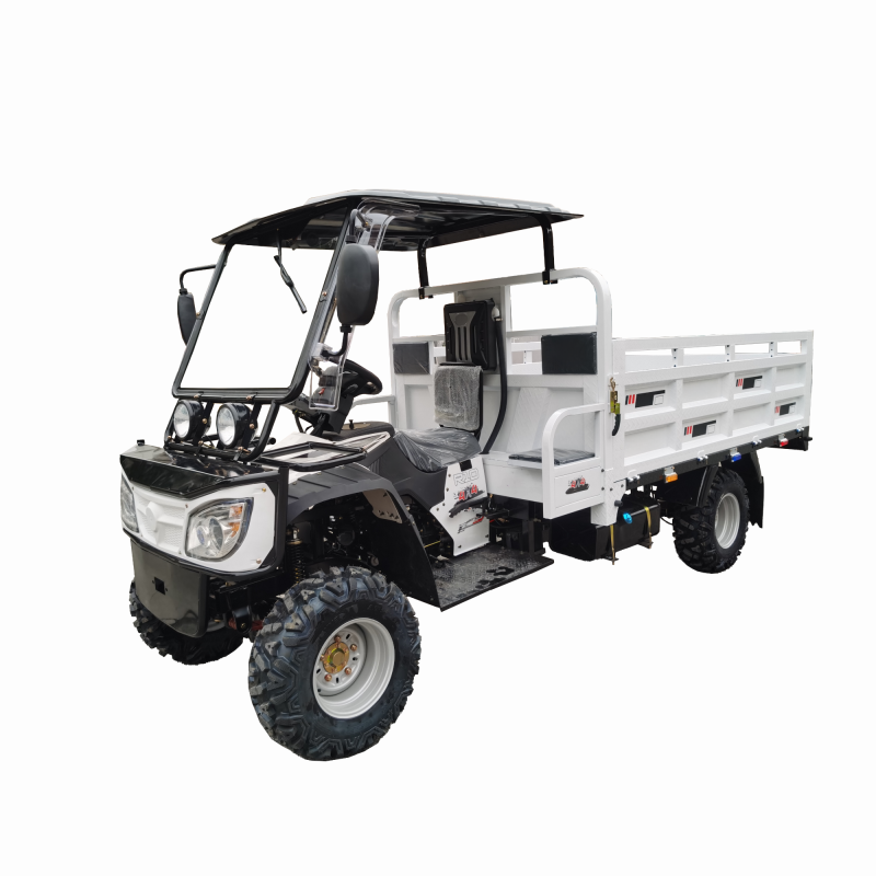 300cc Gasoline Water-Cooled Engine ATV Agricultural Utility Vehicle