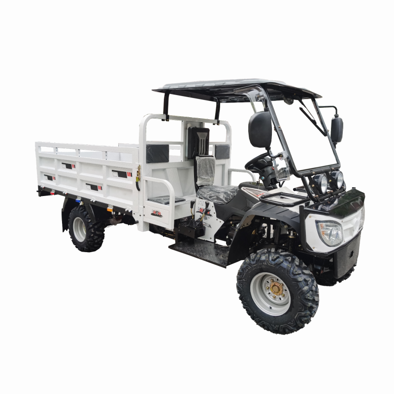 300cc Gasoline Water-Cooled Engine ATV Agricultural Utility Vehicle