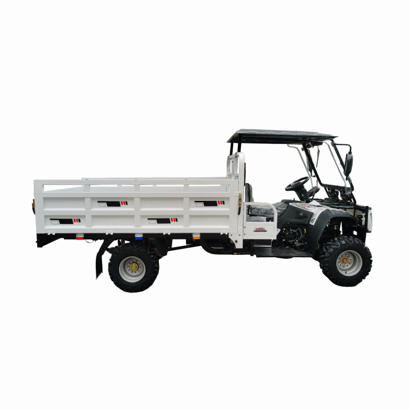 300cc Gasoline Water-Cooled Engine ATV Agricultural Utility Vehicle