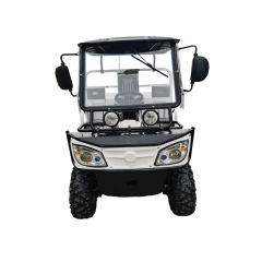 300cc Gasoline Water-Cooled Engine ATV Agricultural Utility Vehicle