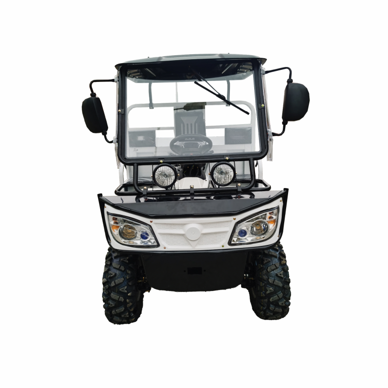 300cc Gasoline Water-Cooled Engine ATV Agricultural Utility Vehicle