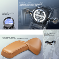 250cc High Quality Adult Commuter Fuel Two-Wheeled Motorcycle, Suitable for City Life