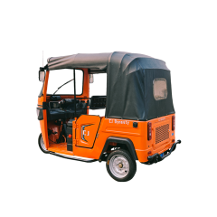 2025 New Design TVS BAJAJ Electric Passenger Tricycle Tuktuk with 3000W Motor