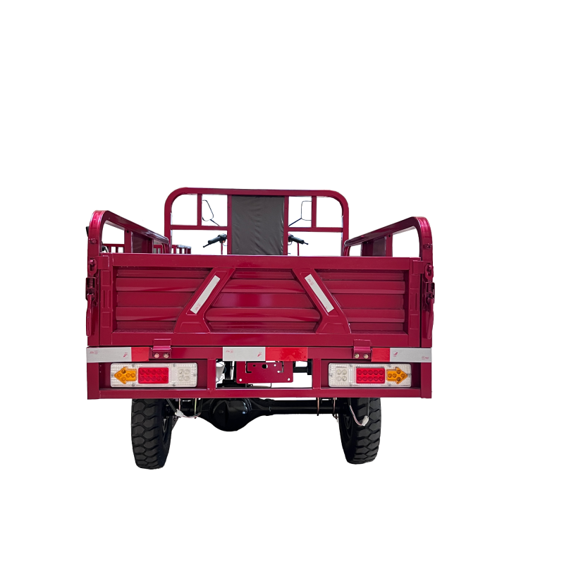 200cc Air-Cooled Adult Three-Wheel Cargo Motorcycle Agricultural Tricycle