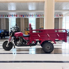 200cc Air-Cooled Adult Three-Wheel Cargo Motorcycle Agricultural Tricycle