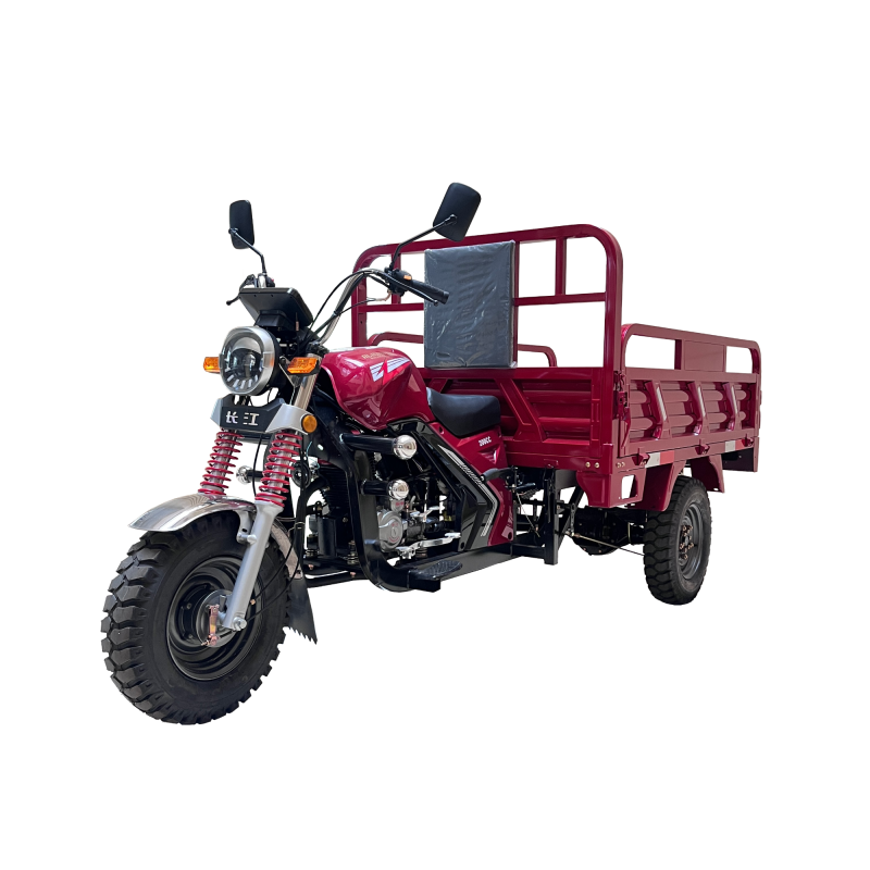 200cc Air-Cooled Adult Three-Wheel Cargo Motorcycle Agricultural Tricycle