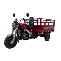 New 200cc Petrol Tricycle for Commercial Agricultural Transport with Large Storage Box