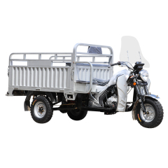 2025 New Chinese Export Gasoline Cargo Three-Wheeled Motorcycle with Windshield