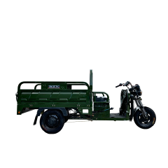 Affordable Adult Electric Tricycle for All Your Delivery Needs