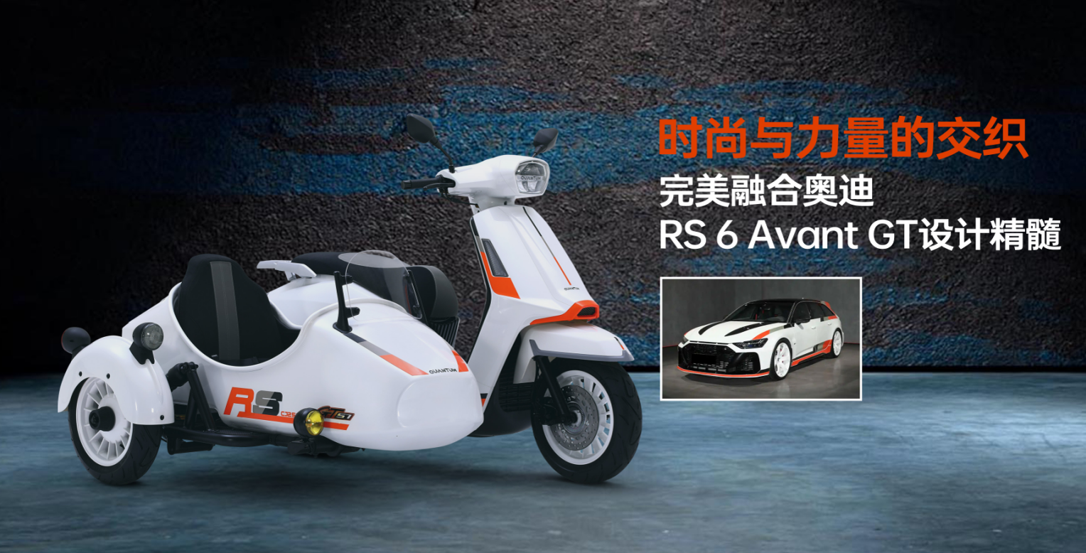 2025 New Style Stylish Small Two-Seater Tricycle Sidecar