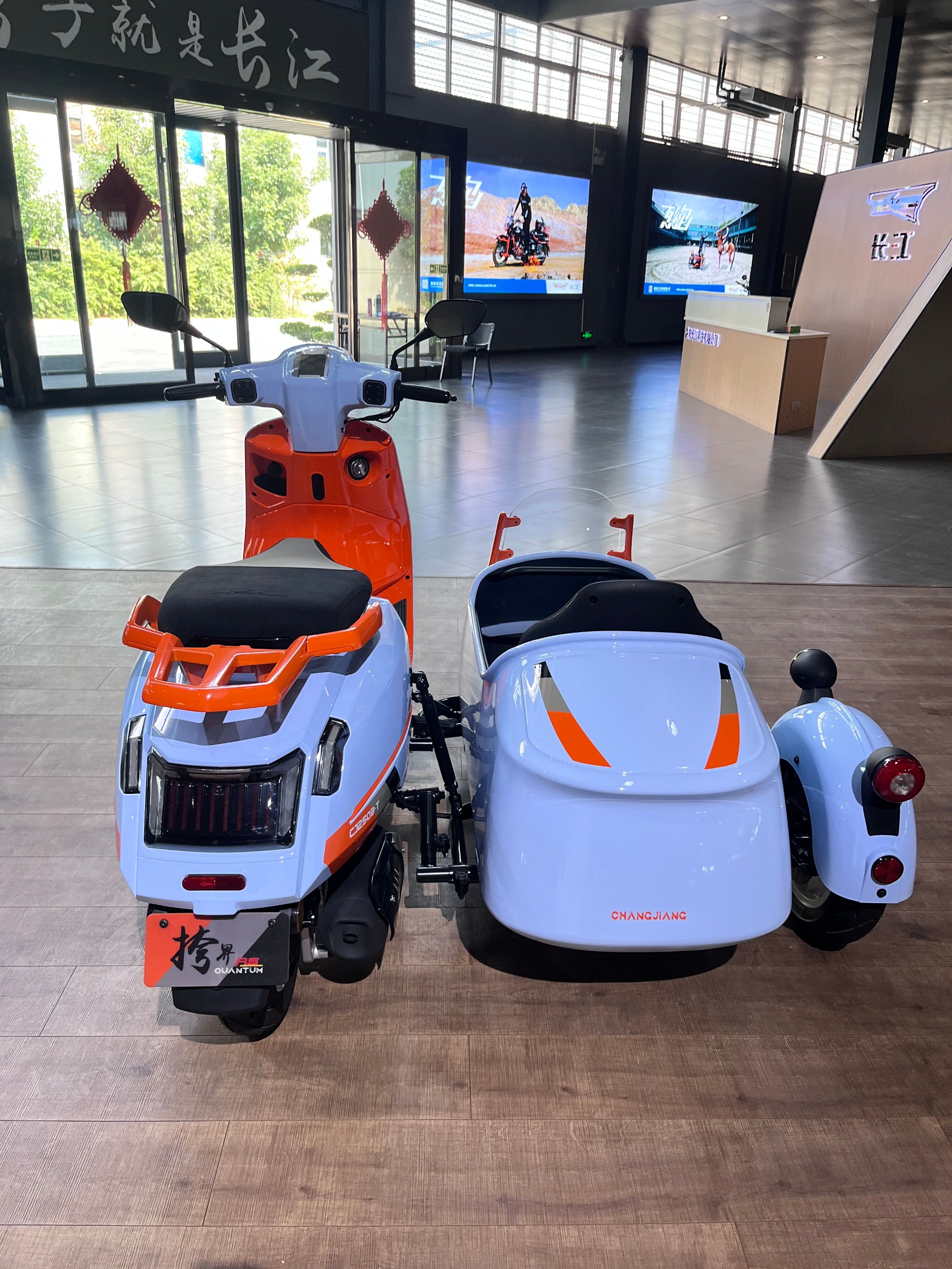 2025 New Style Stylish Small Two-Seater Tricycle Sidecar