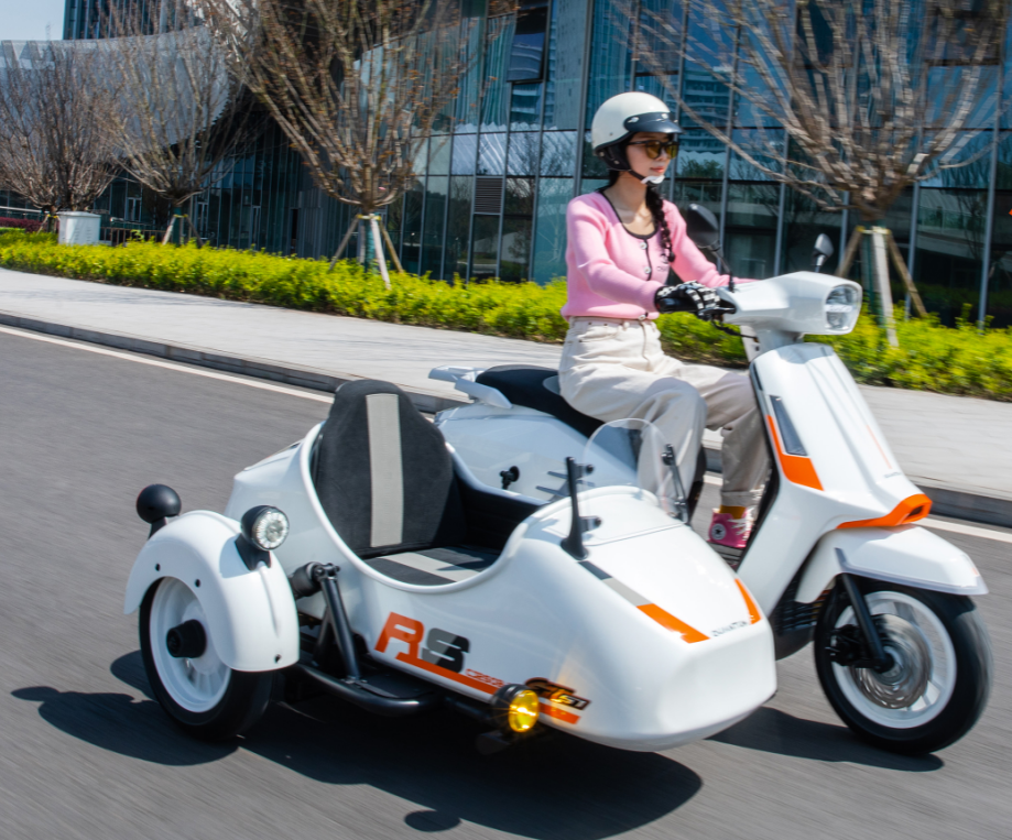 2025 New Style Stylish Small Two-Seater Tricycle Sidecar