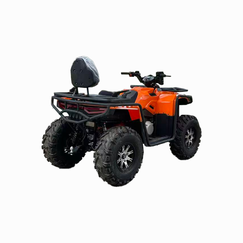 Four-Stroke Yinxin Engine Quad Bike ATV, 650cc Petrol ATV