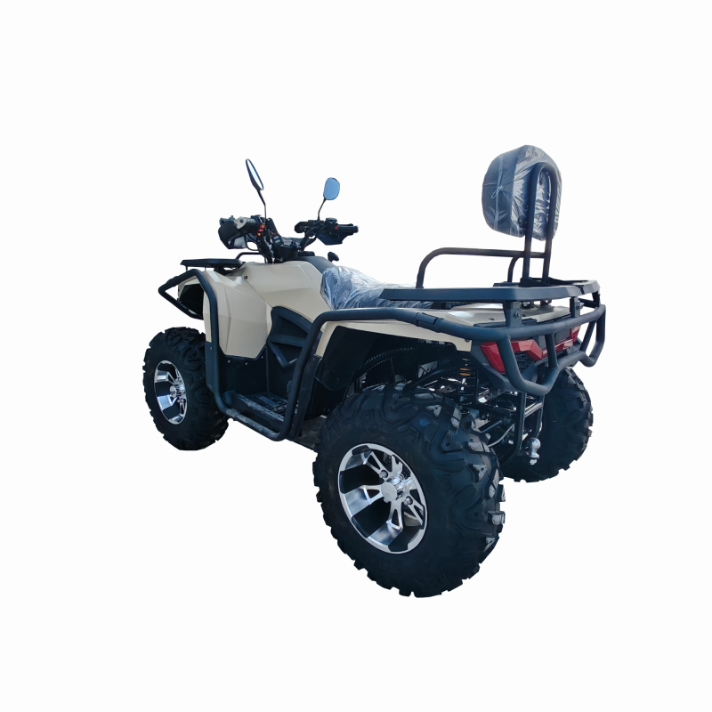 Hot Sale New Bashan Brand 350ccatv Mini Dirt Quad Bike High Quality UTV ATV for Adults