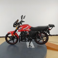 2026 New Practical Multi-Functional Electric Motorcycle, Suitable for Adult Riders