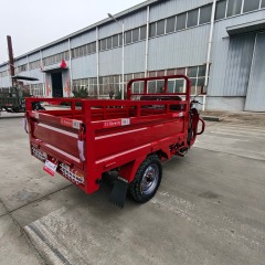 150cc Anti-Electric Cargo Tricycle, Designed for Both Passenger and Cargo Use
