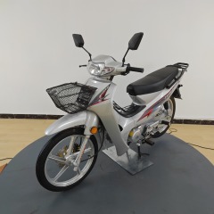 110cc Brand Quality Guaranteed Fuel-Powered Mini Two-Wheeled Motorcycle