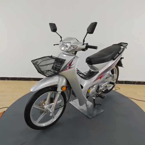 110cc Brand Quality Guaranteed Fuel-Powered Mini Two-Wheeled Motorcycle