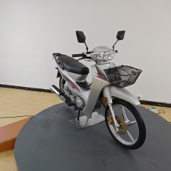 110cc Brand Quality Guaranteed Fuel-Powered Mini Two-Wheeled Motorcycle