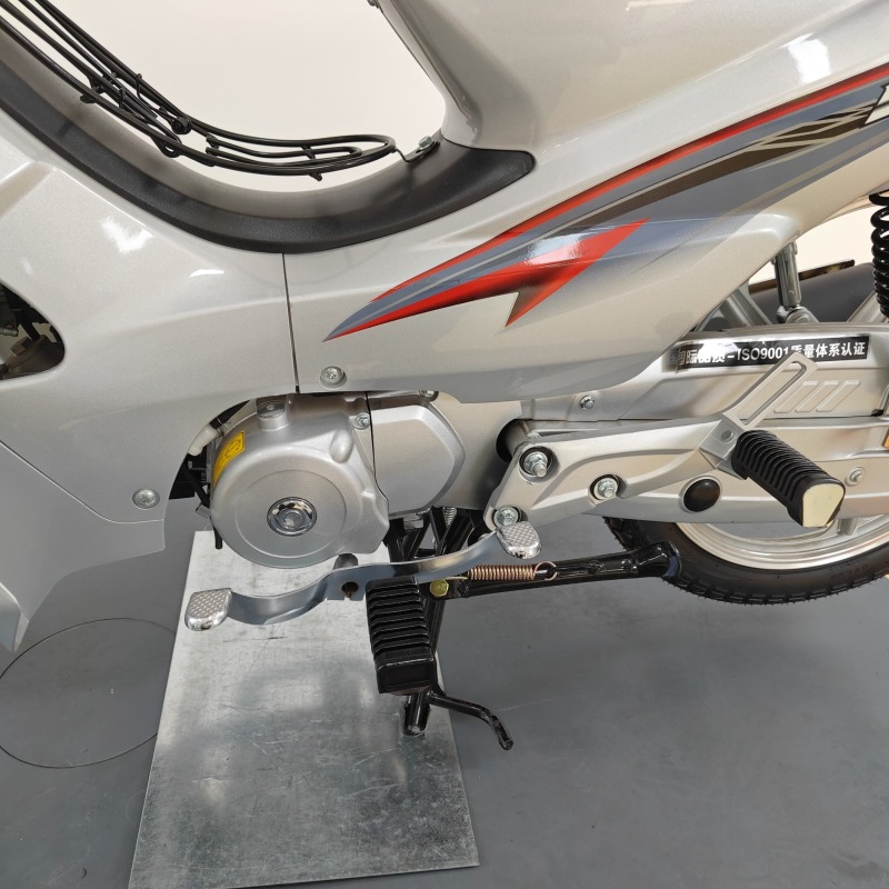 110cc Brand Quality Guaranteed Fuel-Powered Mini Two-Wheeled Motorcycle