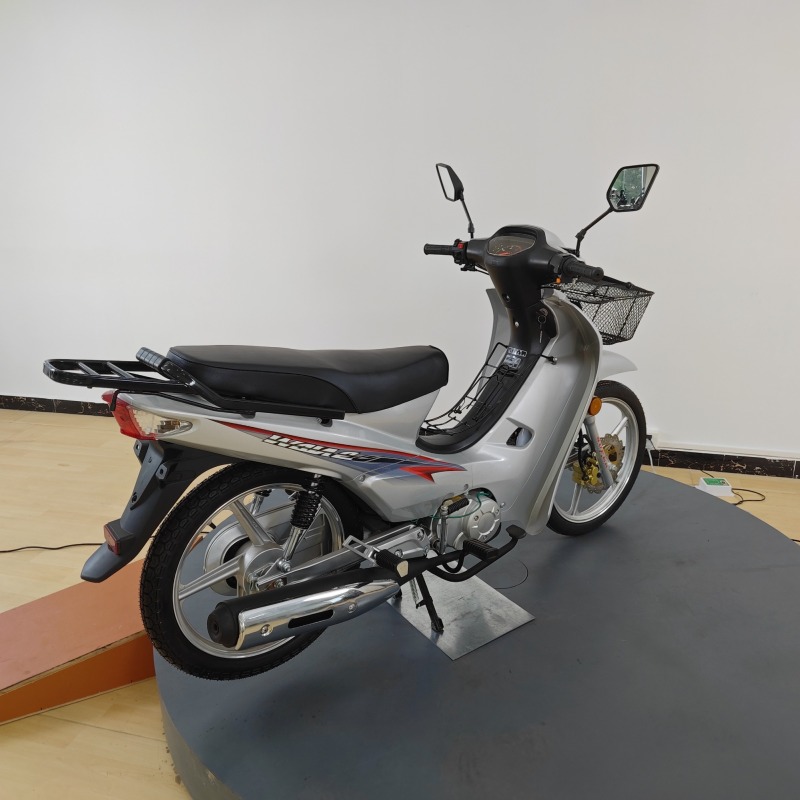 110cc Brand Quality Guaranteed Fuel-Powered Mini Two-Wheeled Motorcycle