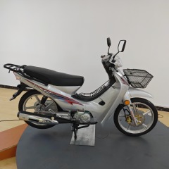 110cc Brand Quality Guaranteed Fuel-Powered Mini Two-Wheeled Motorcycle