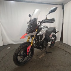 Factory Direct Supply of Sporty 300cc Gasoline Racing Motorcycles