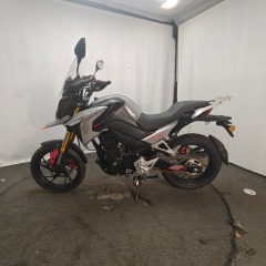Factory Direct Supply of Sporty 300cc Gasoline Racing Motorcycles