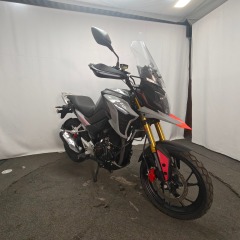 Factory Direct Supply of Sporty 300cc Gasoline Racing Motorcycles