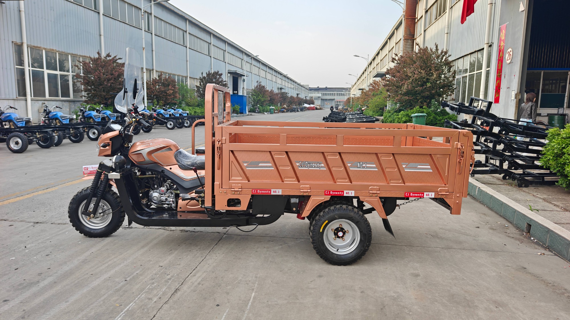 200cc/250cc/300cc/350cc Gasoline Three-Wheeled Motorcycles, Heavy-Duty Gasoline Vehicles